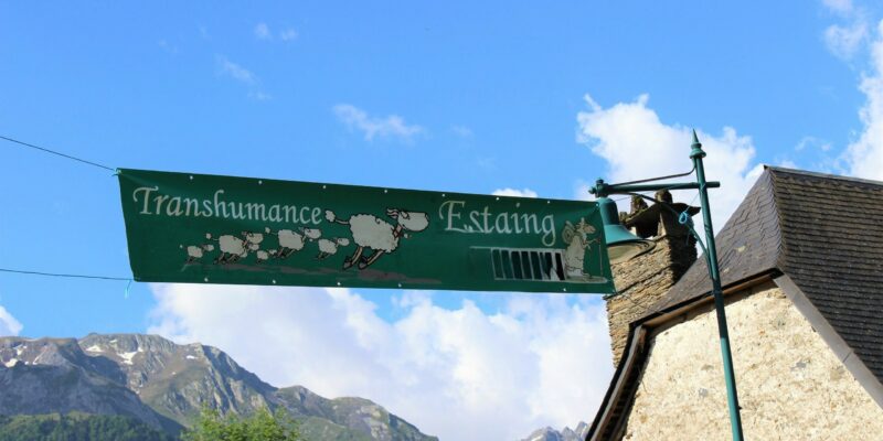 gite les alberts / evenements / transhumance lac estaing